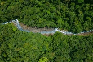 Guanacaste: Bilet wstępu do basenów termalnych Sensoria Rainforest