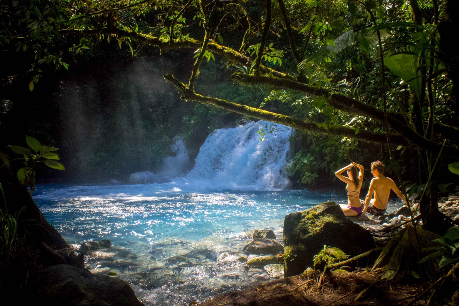 Guanacaste: Sensoria Rainforest Walking and Thermals Tour
