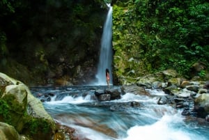 Guanacaste: Regnskogen - sansenes land - vandring i termiske omgivelser