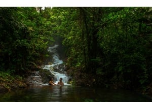 Guanacaste: Regnskogen - sansenes land - vandring i termiske omgivelser