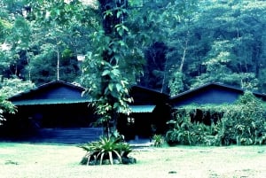 Guanacaste: Regnskogen - sansenes land - vandring i termiske omgivelser