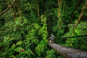 Guanacaste: Excursión a pie por el Bosque Lluvioso Sensoria y las Termas