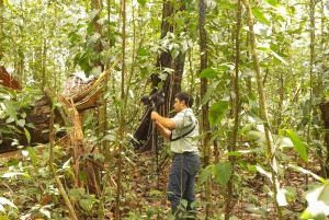 Guanacaste: Dovendyrsobservation og kaffetur