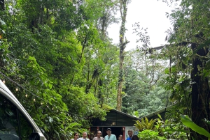 Guanacaste: Faultierbeobachtung & Kaffeetour