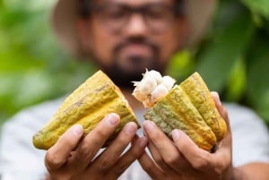 Guanacaste: Sloth Sanctuary and Waterfall Adventure