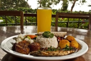 Guanacaste: Sloth Sanctuary and Waterfall Adventure