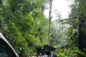Guanacaste: Laiskiainen + vesiputous + puiden istutus (yksityiskierros)