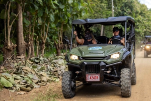 Guanacaste: Thrilling Side-by-Side 4-Seater Tour
