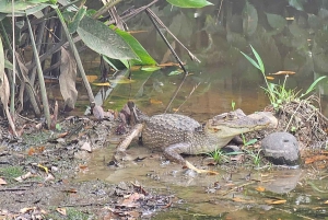 Guatuso : sortie en bateau sur le Río Frío avec collations