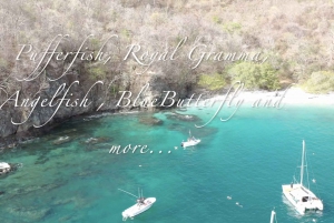 Costa Rica: Guided Beach Hopping & Snorkelling Charter