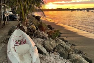 Costa Rica: Guided Beach Hopping & Snorkelling Charter
