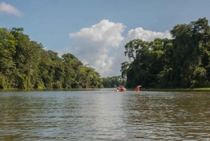 Guided Kayak Tour in Tortuguero National Park ***EXCITING***