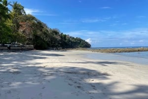 Guided Snorkeling Tour Near Jaco Beach - White Sand Beach.