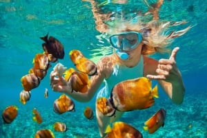 Costa Rica: Sunset & Snorkelling 3/4 Day Private Charter