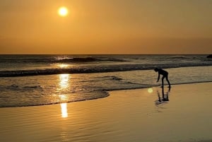 Guidet solnedgangs- og snorkelopplevelse i Flamingo Costa Rica