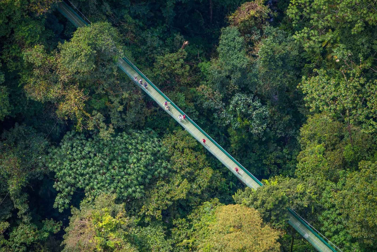 Rondleiding: hangbruggen en natuurwandeling Arenal