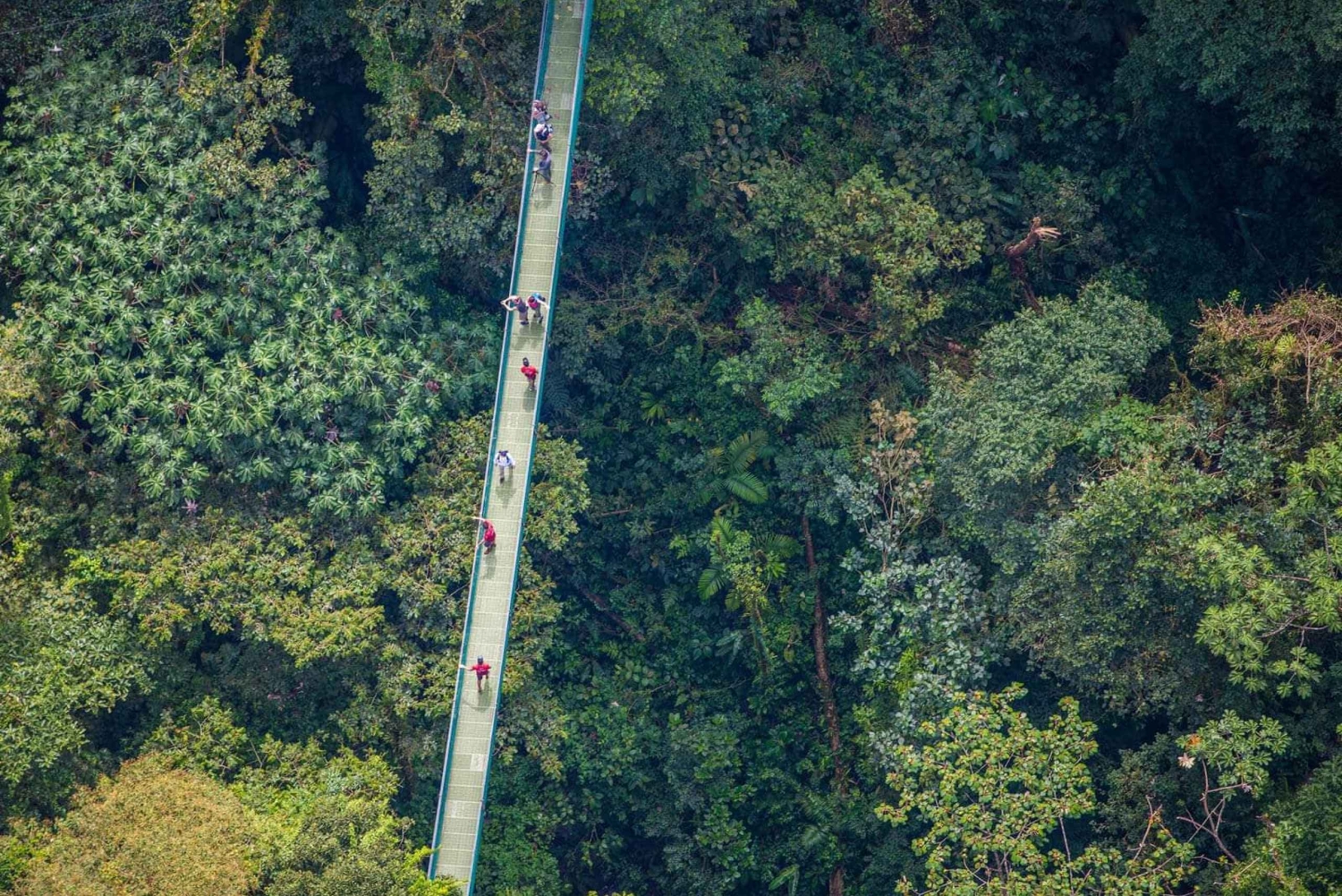 Rondleiding: hangbruggen en natuurwandeling Arenal