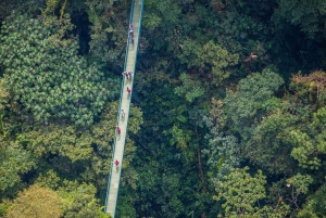 Rondleiding: hangbruggen en natuurwandeling Arenal