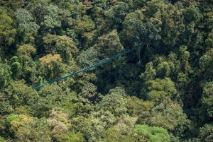 Rondleiding: hangbruggen en natuurwandeling Arenal