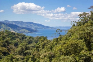 Rondleiding: hangbruggen en natuurwandeling Arenal