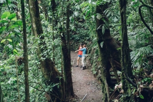 Rondleiding: hangbruggen en natuurwandeling Arenal