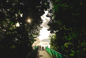 Rondleiding: hangbruggen en natuurwandeling Arenal