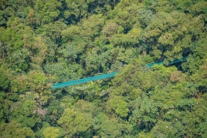 Rondleiding: hangbruggen en natuurwandeling Arenal