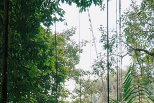 Rondleiding: hangbruggen en natuurwandeling Arenal