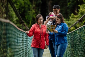 Rondleiding: hangbruggen en natuurwandeling Arenal