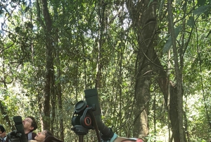 Opastettu kierros Manuel Antonion kansallispuiston viidakossa.