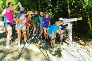 Spacery z przewodnikiem w celu obserwacji zwierząt w Parku Narodowym Manuel Antonio