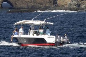 Half day inshore fishing experience