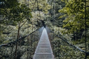 La Fortuna: Hanging Bridges Guided Tour at Mistico Park