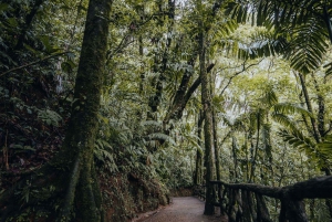 La Fortuna: Hanging Bridges Guided Tour at Mistico Park