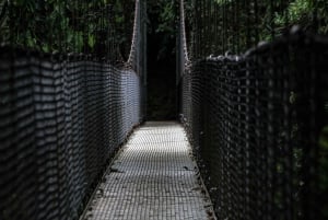 La Fortuna: Hanging Bridges Guided Tour at Mistico Park