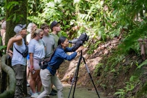 La Fortuna: Hanging Bridges Guided Tour at Mistico Park