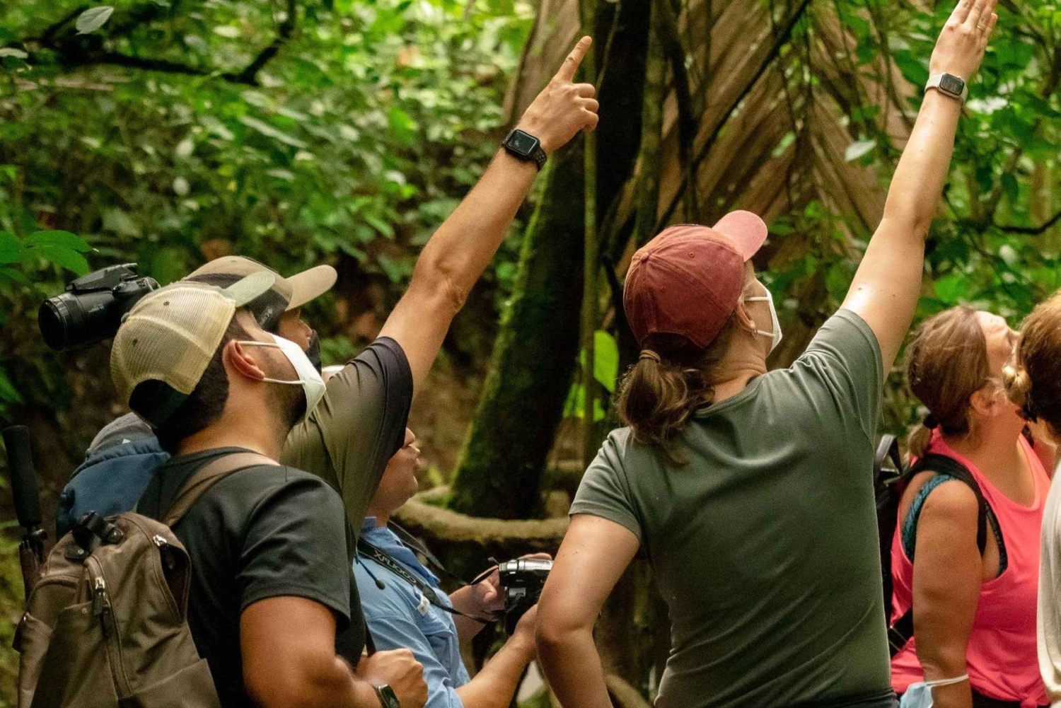 Hanging Bridges regnskovsvandring, halv dag, La Fortuna