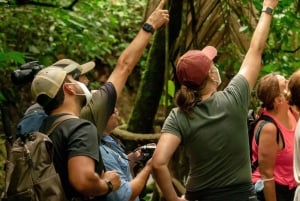 Hanging Bridges Rainforest Hike halvdagstur i regnskogen, La Fortuna