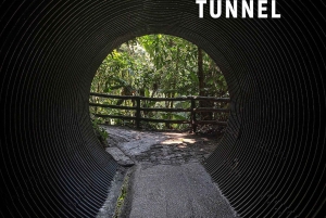 Hanging Bridges regnskovsvandring, halv dag, La Fortuna