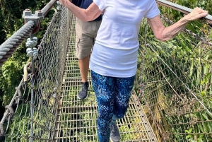 Hanging Bridges regnskovsvandring, halv dag, La Fortuna
