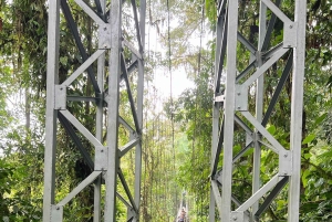 Hanging Bridges regnskovsvandring, halv dag, La Fortuna