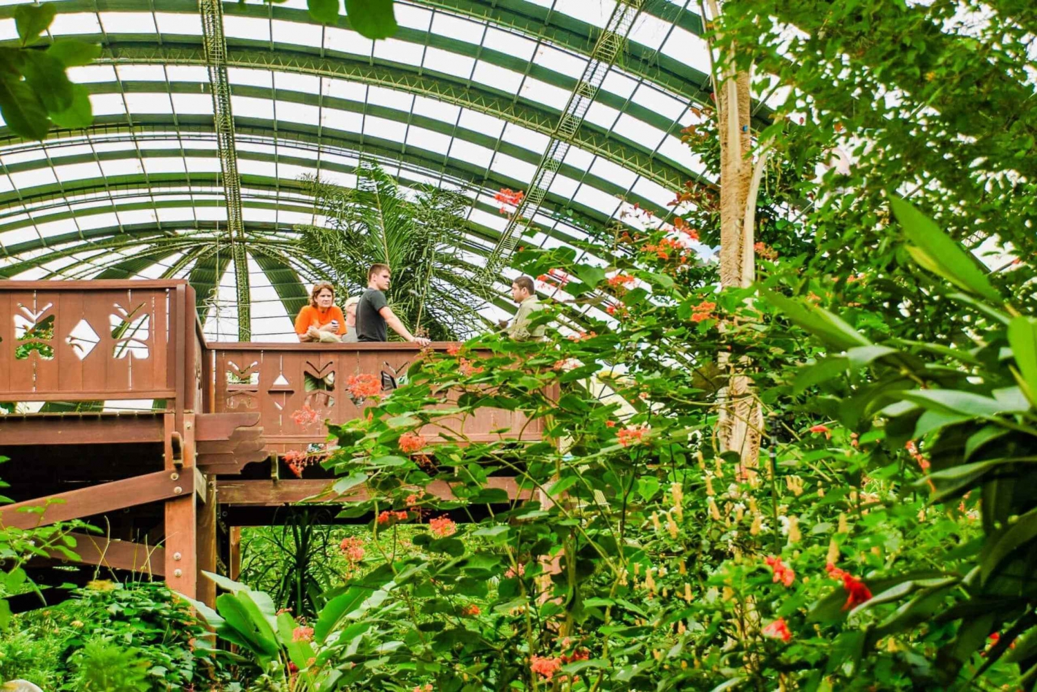 Hanging Bridges+Sloth Sanctuary+Butterfly Garden, Monteverde