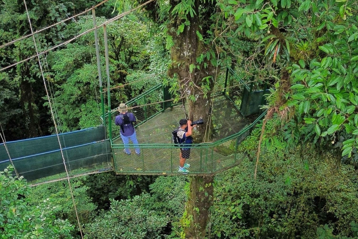 Heliconias Hanging Bridges Guided Tour