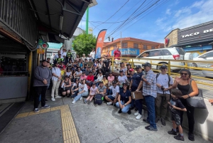 Heredia: City Tour (10 UNESCO buildings)