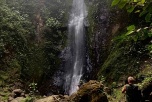 From Puerto Viejo & Cahuita: Hidden Kekoldi Waterfall Hike
