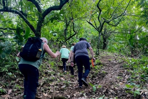 From Puerto Viejo & Cahuita: Hidden Kekoldi Waterfall Hike