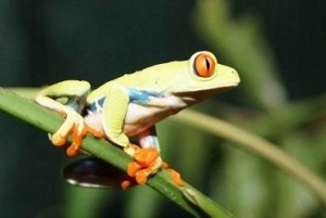 Hike at Rainforest Adventures Costa Rica Braulio Carrillo