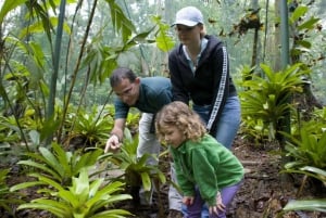 Hike at Rainforest Adventures Costa Rica Braulio Carrillo