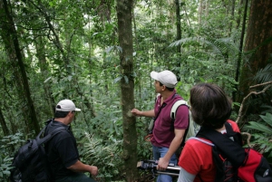 Vandring i Rainforest Adventures Costa Rica Braulio Carrillo