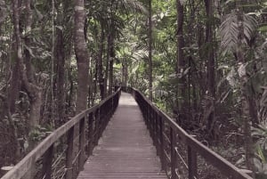 Cahuita National Park: Guided Hike with Snorkel and Lunch